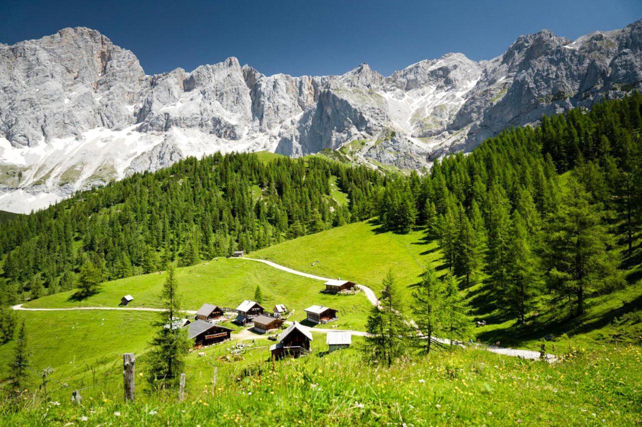 Apartman Ramsau Ramsau am Dachstein Bagian luar foto